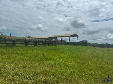 Fazenda/Sítio com 2 Quartos à venda, 19000000m² no Centro, Juara