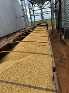 Fazenda/Sítio com 16 Quartos à venda, 138000000m² no São José do Xingu, São José do Xingu