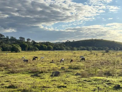 Fazenda/Sítio à venda, 450000m² no , Soledade de Minas