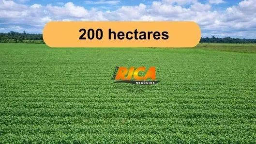 Fazenda/Sítio à venda, 2000000m² no Área Rural de Porto Velho, Porto Velho