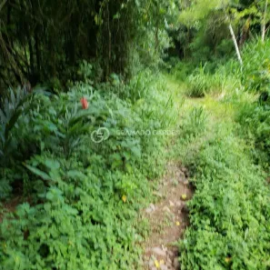 Fazenda/Sítio com 1 Quarto à venda, 5000m² no , Três Coroas