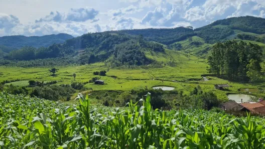Fazenda/Sítio à venda, 20000m² no , Águas Mornas