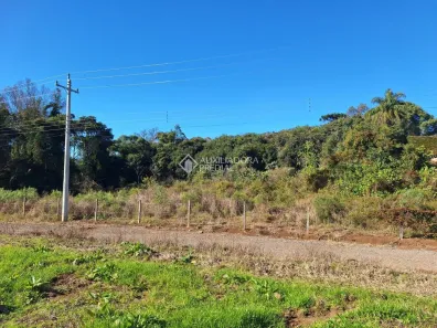 Lote/Terreno à venda, 20000m² no Vinhedos, Caxias do Sul