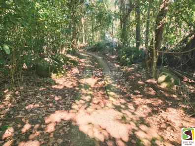 Lote/Terreno à venda, 2484m² no São Pedro (Cambaquara), Ilhabela