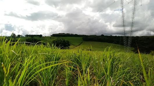 Fazenda/Sítio à venda, 547451m² no , Santa Rosa de Viterbo
