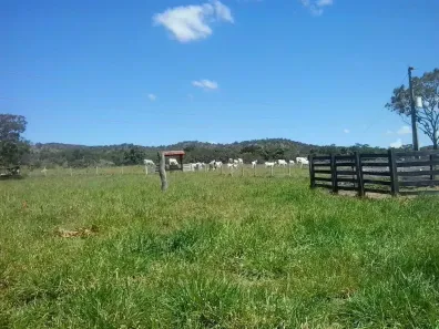 Fazenda/Sítio com 3 Quartos à venda, 1936000m² no Centro, Goianésia