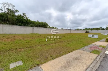 Lote/Terreno com 1 Quarto à venda, 180m² no Colônia Rio Grande, São José dos Pinhais