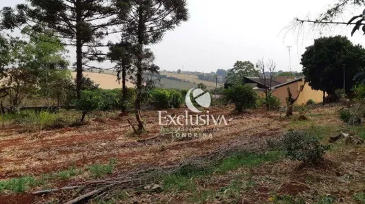 Lote/Terreno à venda, 3200m² no Centro, Rolândia