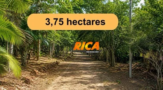 Fazenda/Sítio com 1 Quarto à venda, 37500m² no , Candeias do Jamari