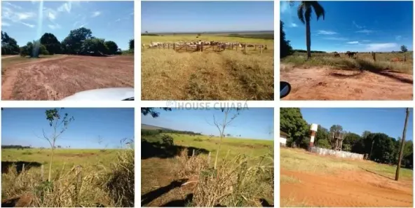 com 2 Quartos à venda, 600m² no , Ivaté