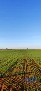 Fazenda/Sítio com 1 Quarto à venda, 895400m² no Área Rural de Tatuí, Tatuí