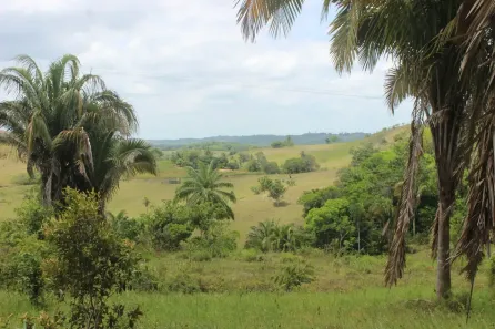 Fazenda/Sítio com 2 Quartos à venda, 130m² no Monte Gordo (Monte Gordo), Camaçari
