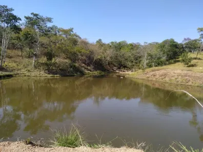 Fazenda/Sítio com 3 Quartos à venda, 40m² no , Pires do Rio