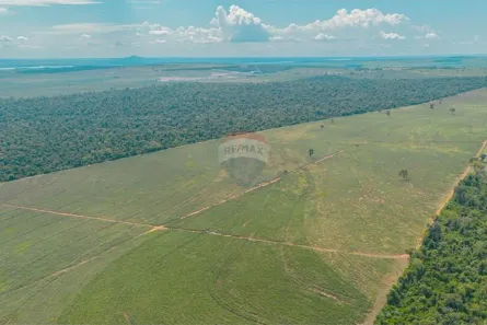 Fazenda/Sítio com 4 Quartos à venda, 762000m² no Centro, Paranavaí