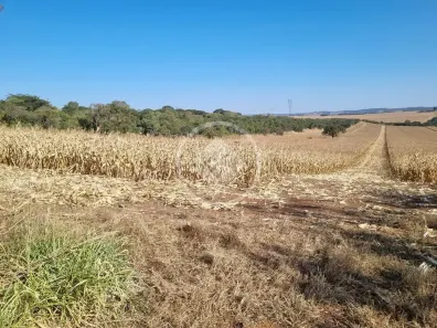 Fazenda/Sítio à venda, 27m² no , Caiapônia