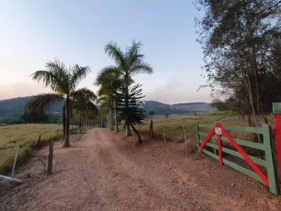 Fazenda/Sítio com 3 Quartos à venda, 605m² no Silvestre, Amparo