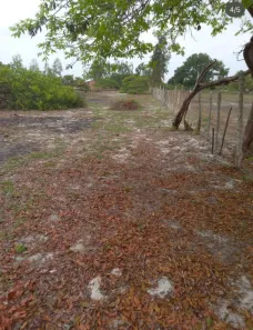 Lote/Terreno à venda, 1500m² no Angelim, Santo Amaro das Brotas