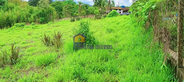 Lote/Terreno à venda, 1200m² no Curral, Ibiúna
