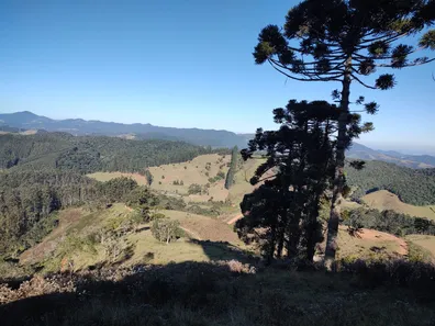 Fazenda/Sítio à venda, 20000m² no , Sapucaí-Mirim