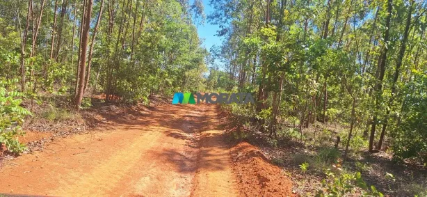 Fazenda/Sítio com 1 Quarto à venda, 730m² no , Corinto
