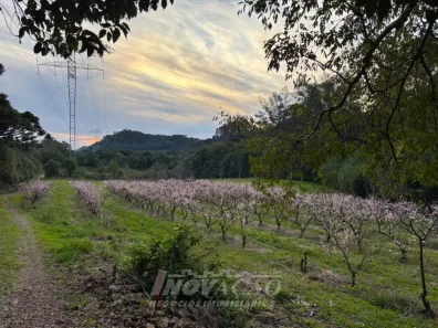 Fazenda/Sítio com 1 Quarto à venda, 200000m² no Vinhedos, Caxias do Sul
