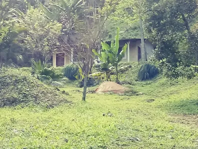 Fazenda/Sítio com 2 Quartos à venda, 10m² no Campinas, Pindamonhangaba