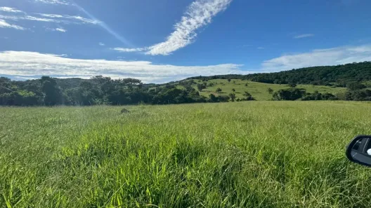 Fazenda/Sítio com 1 Quarto à venda, 50m² no , Pontalina