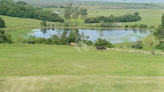 Fazenda/Sítio à venda, 245556m² no Estância Grande, Viamão