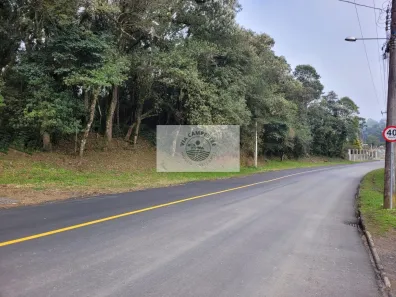 Fazenda/Sítio com 1 Quarto à venda, 6000m² no Centro, São Bento do Sul