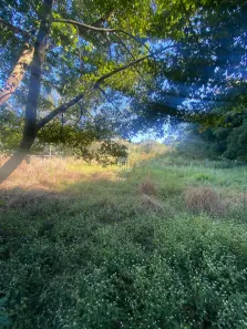 Fazenda/Sítio à venda, 7890m² no Mombuca, Itatiba