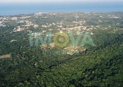 Lote/Terreno à venda, 2550m² no Pipa, Tibau do Sul