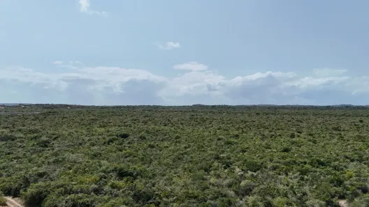 Lote/Terreno à venda, 278254m² no , Extremoz
