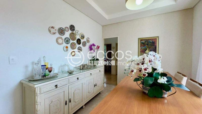 Foto 42