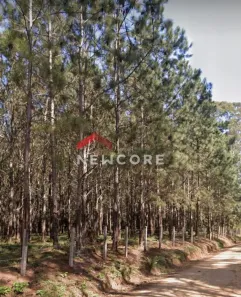 Fazenda/Sítio à venda, 200m² no , Sao Miguel Arcanjo
