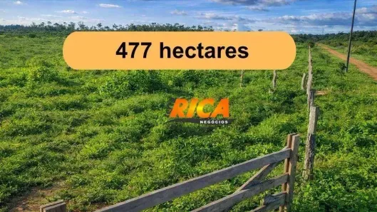 Fazenda/Sítio à venda, 4770000m² no Área Rural de Porto Velho, Porto Velho