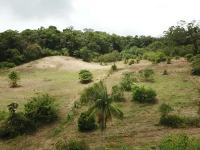 Fazenda/Sítio com 3 Quartos à venda, 6600m² no Vila Moraes, Mogi das Cruzes