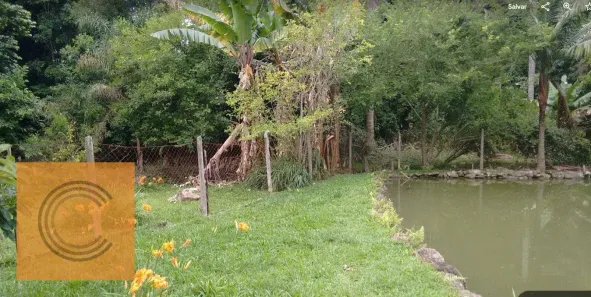 Fazenda/Sítio com 3 Quartos à venda, 16500m² no , Piedade