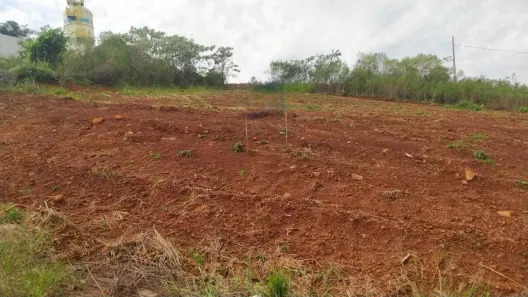 Lote/Terreno à venda, 371m² no Araras, Chapecó