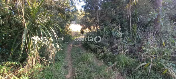 Fazenda/Sítio à venda, 48400m² no Área Rural de Campo Largo, Campo Largo
