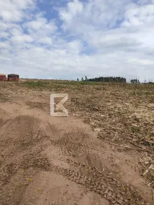 Fazenda/Sítio à venda, 10m² no Centro, Monte Mor