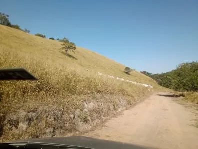Fazenda/Sítio com 1 Quarto à venda, 37m² no Centro, Paraibuna