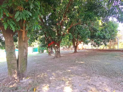 Fazenda/Sítio com 2 Quartos à venda, 80m² no Estância Balneária Águas Virtuosas, Bauru