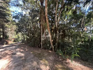 Lote/Terreno à venda, 4451m² no Mury, Nova Friburgo