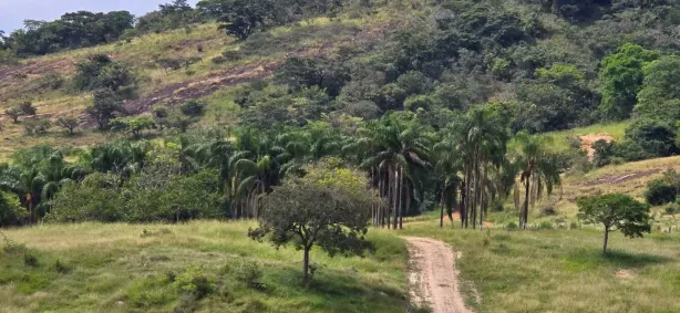 Fazenda/Sítio com 3 Quartos à venda, 71m² no Centro, Boa Esperança