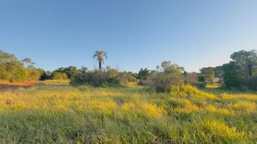 Fazenda/Sítio à venda, 1000m² no Área Rural de Águas Claras, Viamão