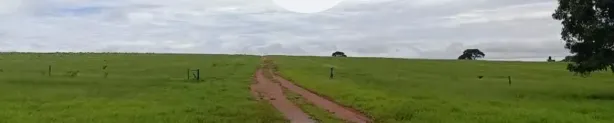 Fazenda/Sítio para alugar, 10000000m² no , Bandeirantes
