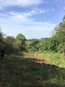 Fazenda/Sítio à venda, 67000m² no , Triunfo