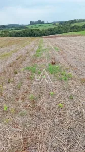 Lote/Terreno à venda, 5000m² no , Mato Castelhano