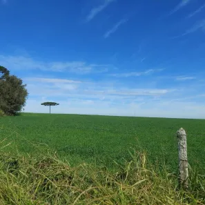 Fazenda/Sítio com 1 Quarto à venda, 1200000m² no , Lapa