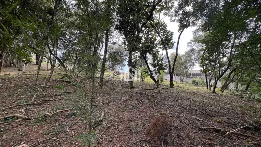 Lote/Terreno à venda, 1575m² no Vila de São Fernando, Cotia